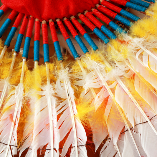 What is "Land Back"? Honoring Native and Indigenous Peoples this International Day of the World's Indigenous Population