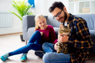 Why You Should Consider Keeping Your Family Cat Inside